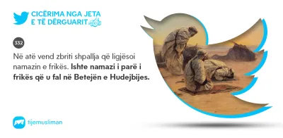 Cicërima profetike