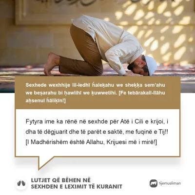 Lutjet e Jetës