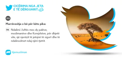 Cicërima profetike