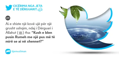 Cicërima profetike