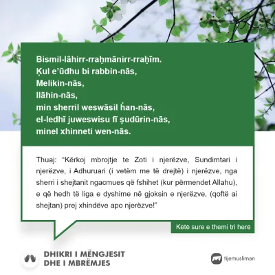 Lutjet e Jetës