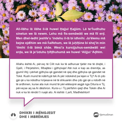 Lutjet e Jetës