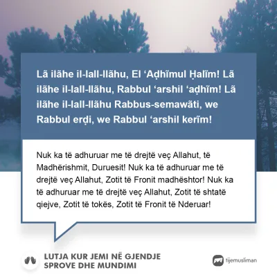 Lutjet e Jetës