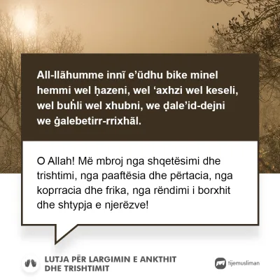 Lutjet e Jetës