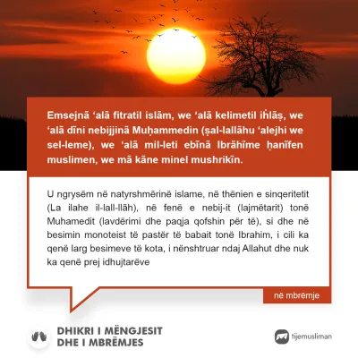 Lutjet e Jetës