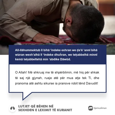 Lutjet e Jetës