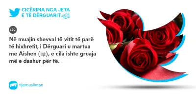 Cicërima profetike