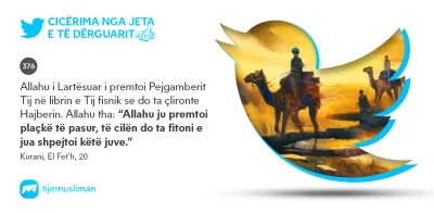 Cicërima profetike