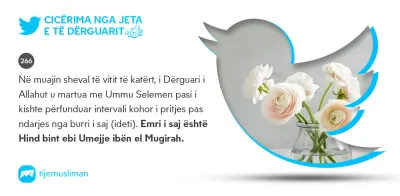Cicërima profetike