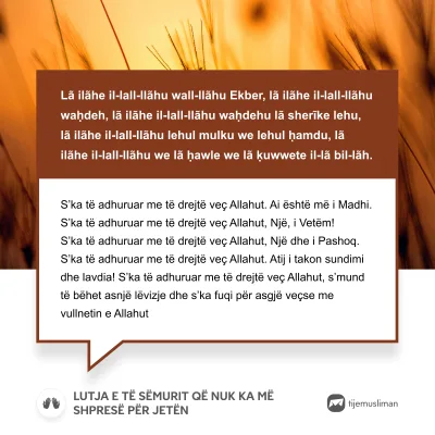 Lutjet e Jetës