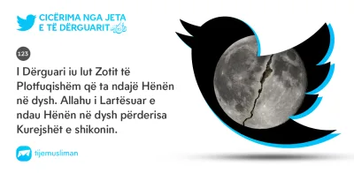 Cicërima profetike