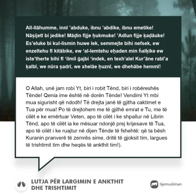 Lutjet e Jetës