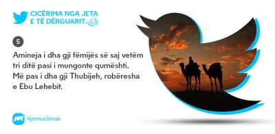 Cicërima profetike