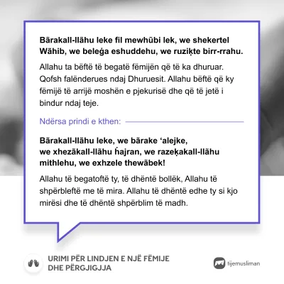 Lutjet e Jetës