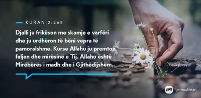 Porosi Hyjnore