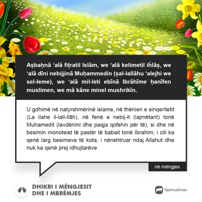 Lutjet e Jetës