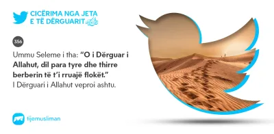 Cicërima profetike