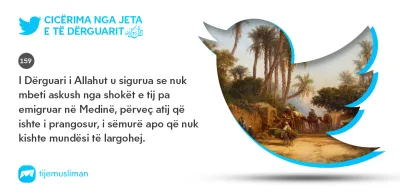 Cicërima profetike
