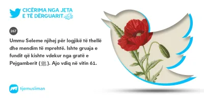 Cicërima profetike