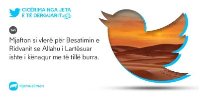 Cicërima profetike