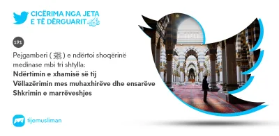 Cicërima profetike