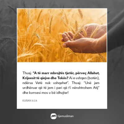 Porosi Hyjnore
