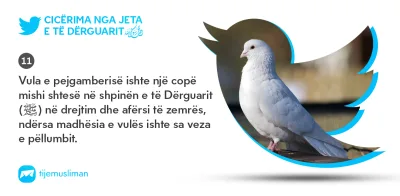 Cicërima profetike
