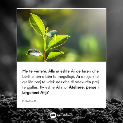 Porosi Hyjnore