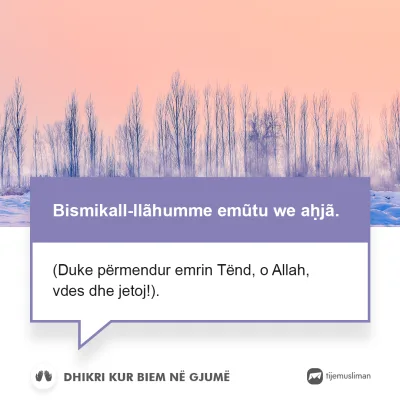 Lutjet e Jetës