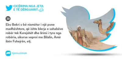 Cicërima profetike