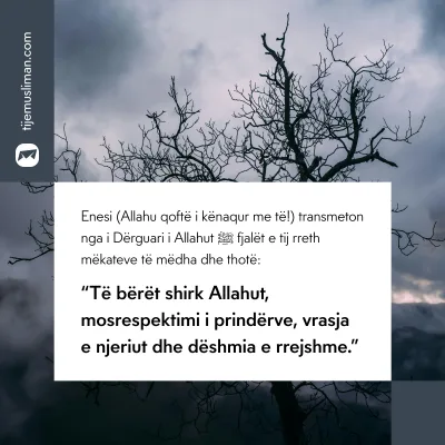 Porosi Hyjnore
