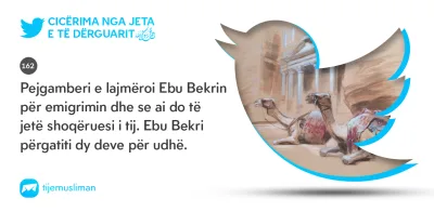 Cicërima profetike