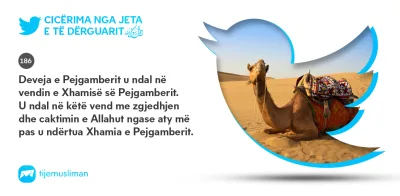 Cicërima profetike