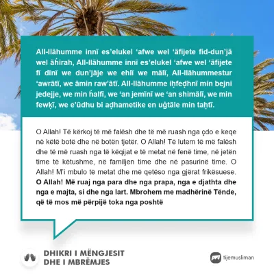Lutjet e Jetës