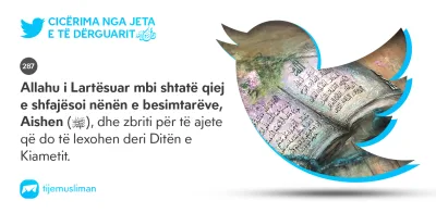 Cicërima profetike