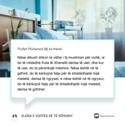 Lutjet e Jetës