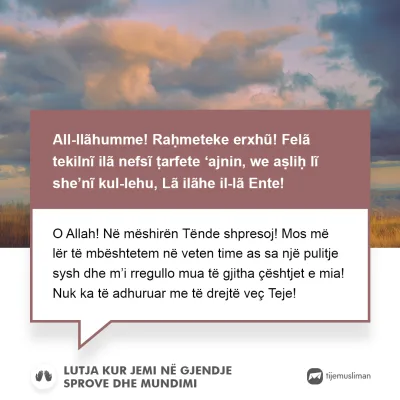 Lutjet e Jetës