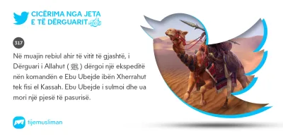 Cicërima profetike
