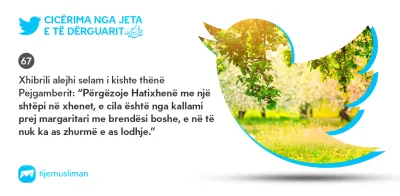 Cicërima profetike