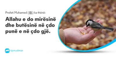 Porosi Hyjnore