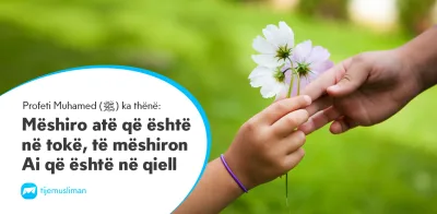 Porosi Hyjnore