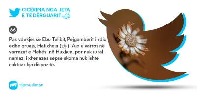 Cicërima profetike