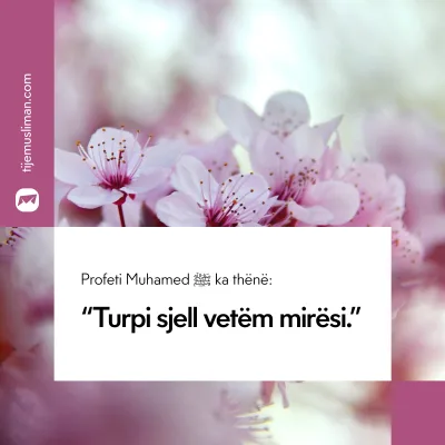 Porosi Hyjnore