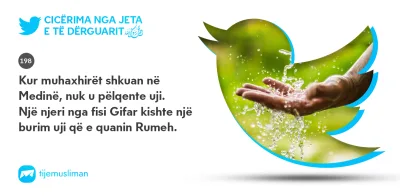 Cicërima profetike