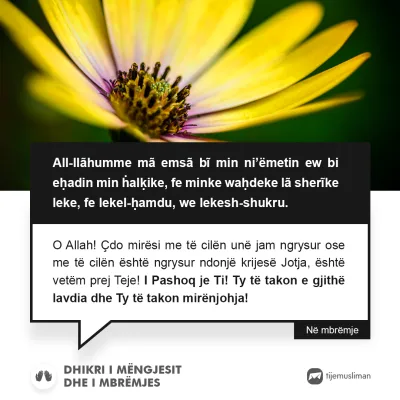 Lutjet e Jetës