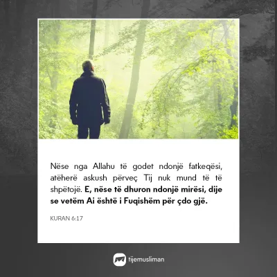 Porosi Hyjnore