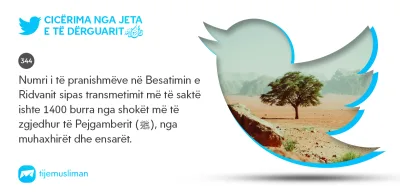 Cicërima profetike