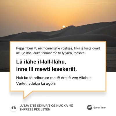 Lutjet e Jetës