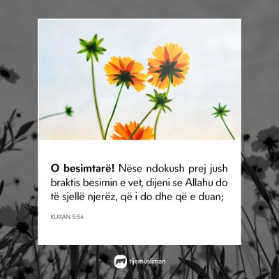 Porosi Hyjnore
