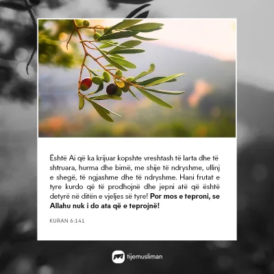 Porosi Hyjnore